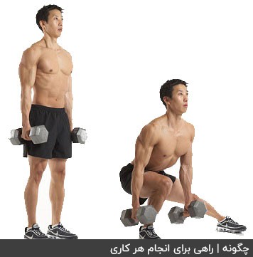 چگونه عضلات پا حجیم و خوش فرم داشته باشیم چگونه عضلات پا حجیم و خوش فرم داشته باشیم