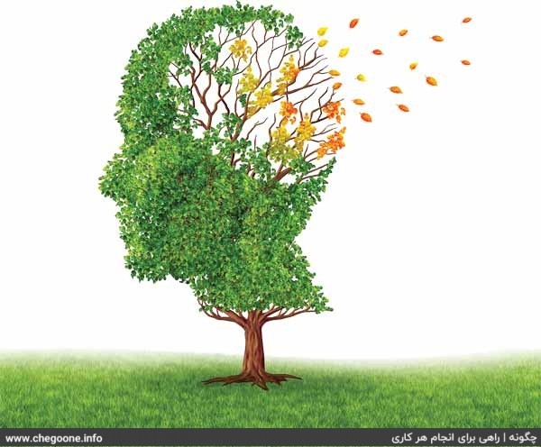 چگونه از آلزایمر جلویگری کنیم چگونه از آلزایمر جلویگری کنیم