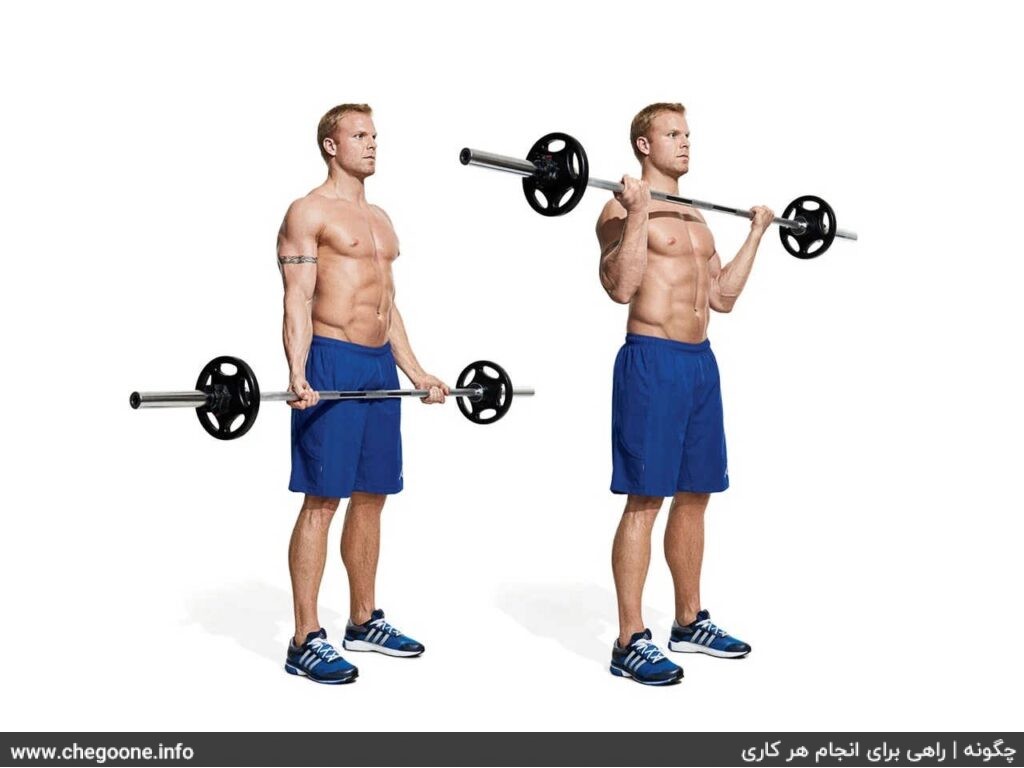 چگونه عضلات مچ و ساعد زیبا و حجیم داشته باشیم چگونه عضلات مچ و ساعد زیبا و حجیم داشته باشیم