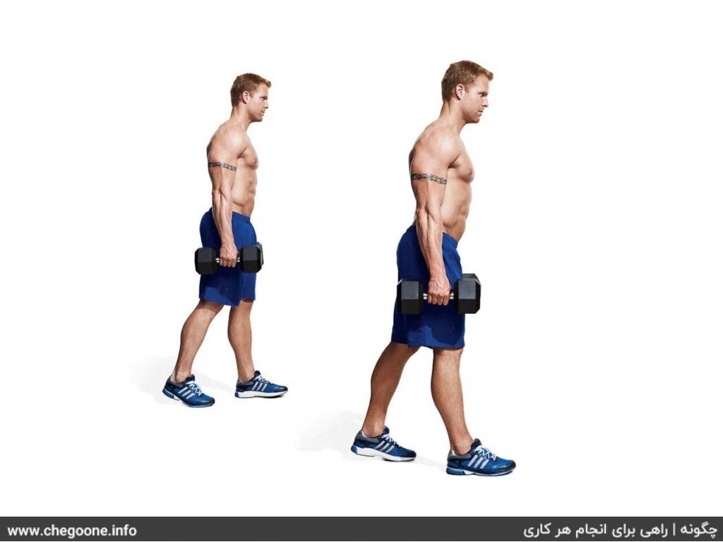 چگونه عضلات مچ و ساعد زیبا و حجیم داشته باشیم چگونه عضلات مچ و ساعد زیبا و حجیم داشته باشیم