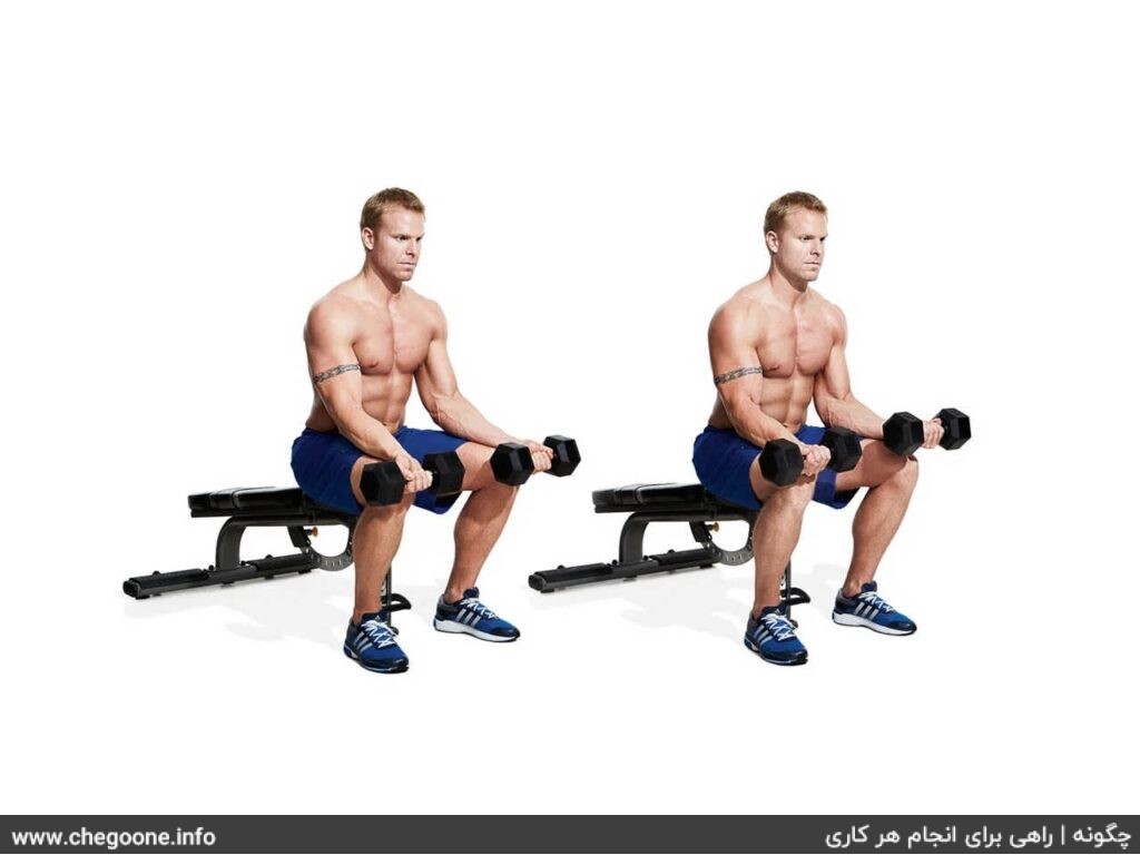 چگونه عضلات مچ و ساعد زیبا و حجیم داشته باشیم چگونه عضلات مچ و ساعد زیبا و حجیم داشته باشیم