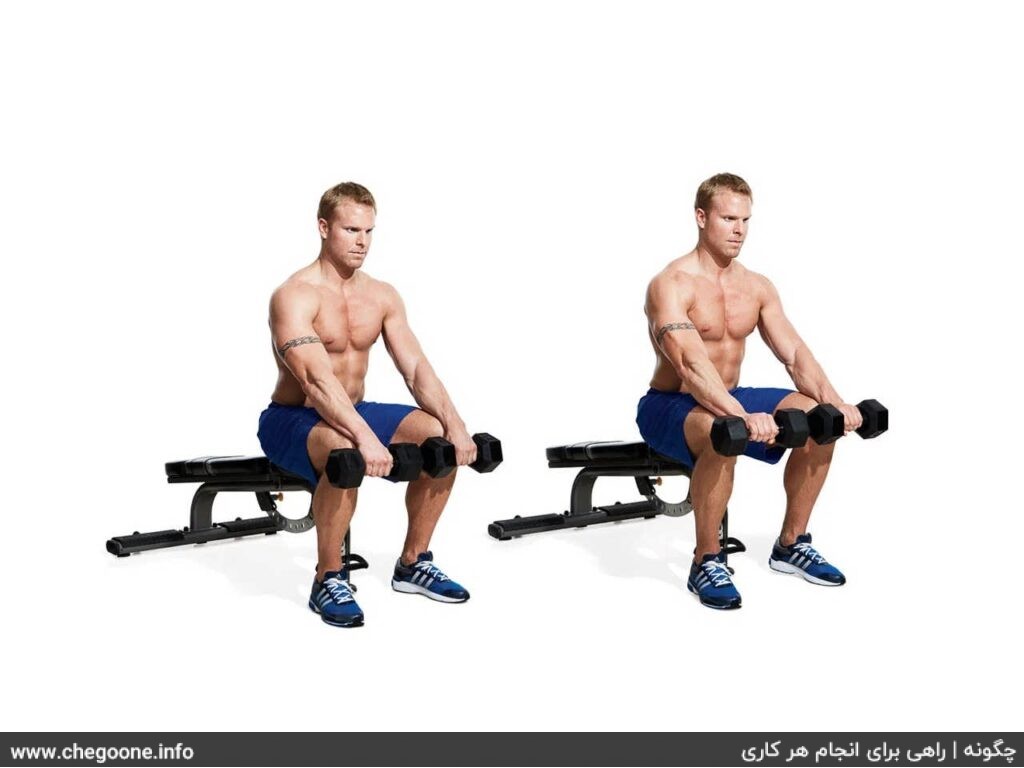 چگونه عضلات مچ و ساعد زیبا و حجیم داشته باشیم چگونه عضلات مچ و ساعد زیبا و حجیم داشته باشیم
