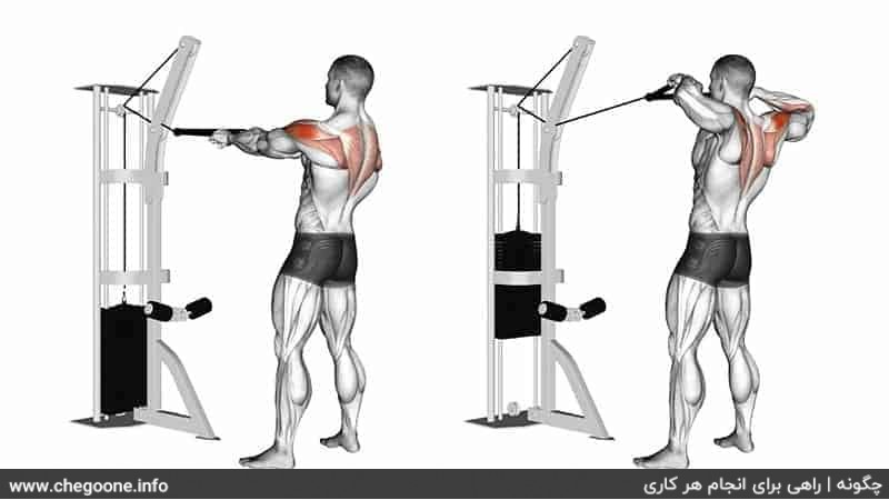 چگونه کولهای حجیم و زیبا داشته باشیم چگونه کولهای حجیم و زیبا داشته باشیم