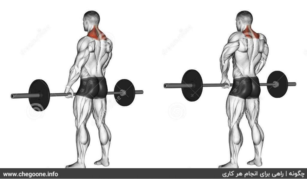 چگونه کولهای حجیم و زیبا داشته باشیم چگونه کولهای حجیم و زیبا داشته باشیم