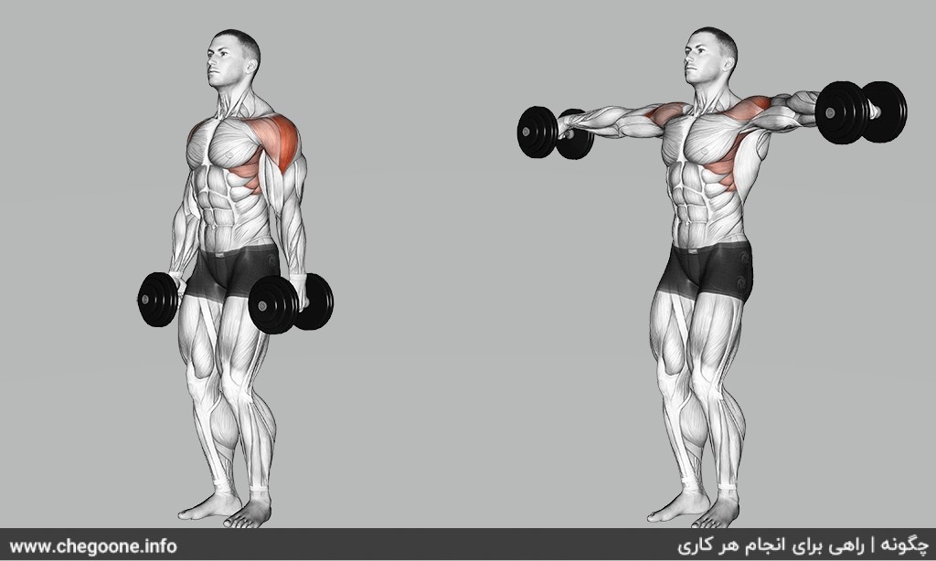 چگونه کولهای حجیم و زیبا داشته باشیم چگونه کولهای حجیم و زیبا داشته باشیم