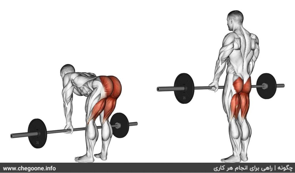 چگونه کولهای حجیم و زیبا داشته باشیم چگونه کولهای حجیم و زیبا داشته باشیم